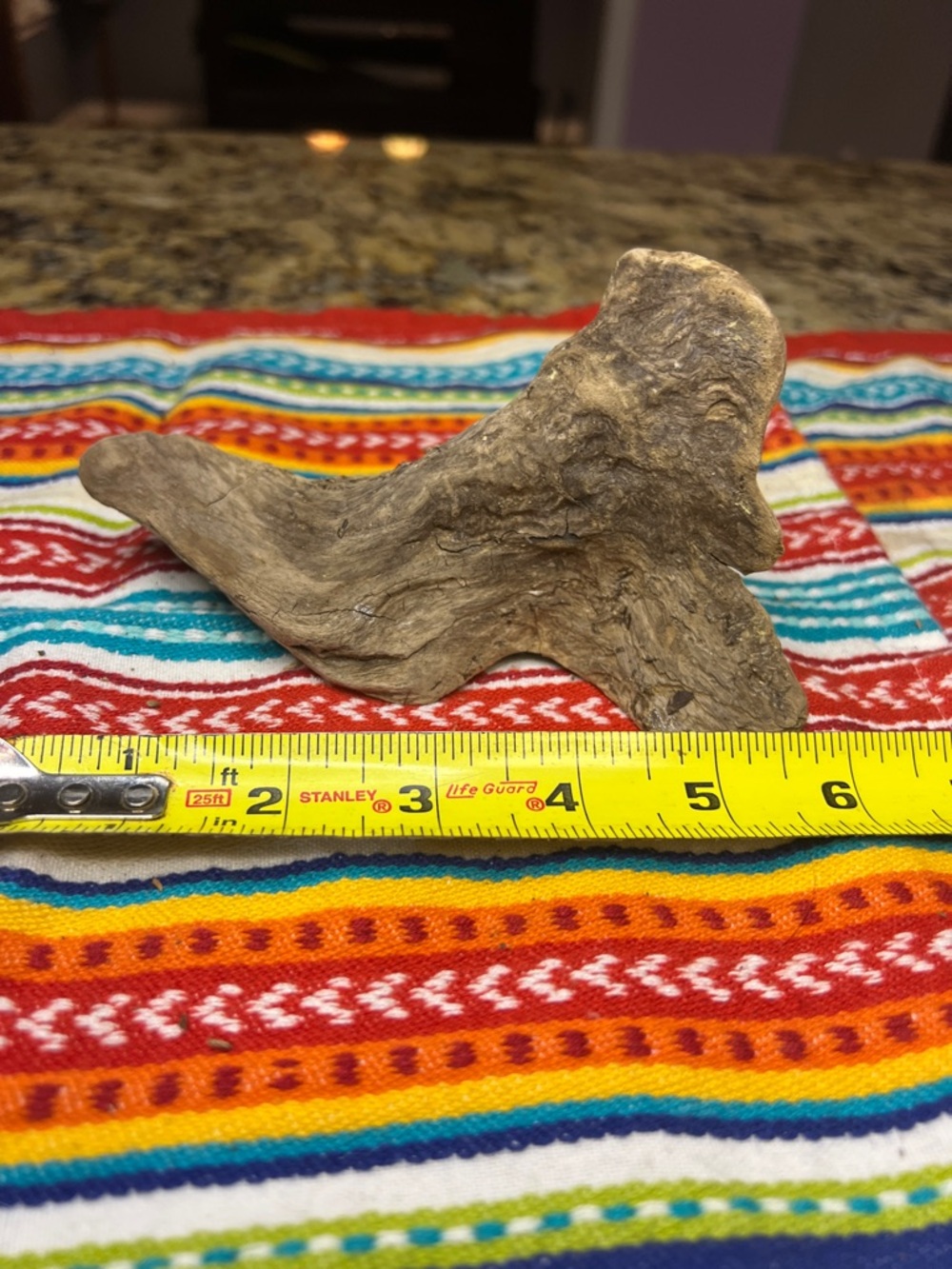 Natural Driftwood Reptile Habitat Decoration - Brown found on James River